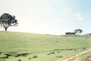 Barren Land to Spiritual Abundance